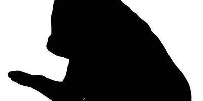 Животные 1468