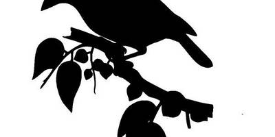 Животные 945