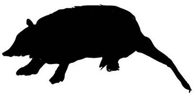 Животные 379