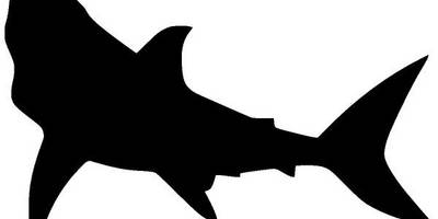 Животные 2155