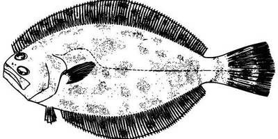 Животные 1318