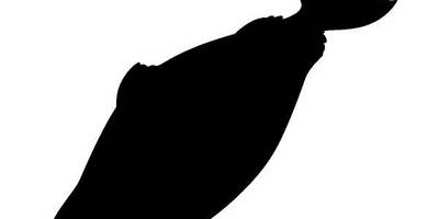 Животные 2084