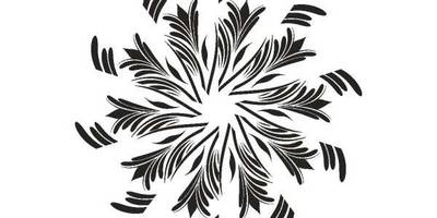 Орнамент цветы 496