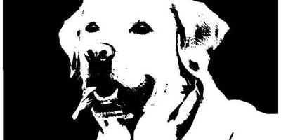 Животные 1111