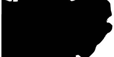 Животные 4171