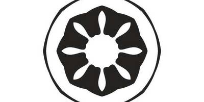 Орнамент цветы 322