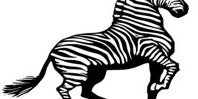 Животные 733