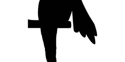 Животные 3293