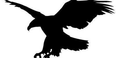 Животные 1340