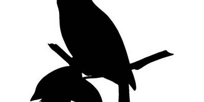 Животные 944