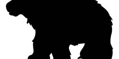 Животные 1469