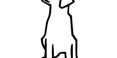 Животные 470