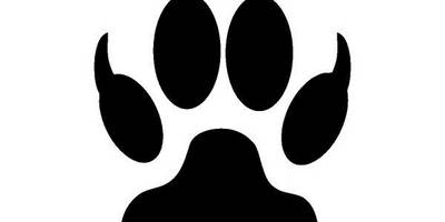 Животные 1407