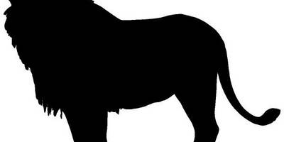 Животные 4178