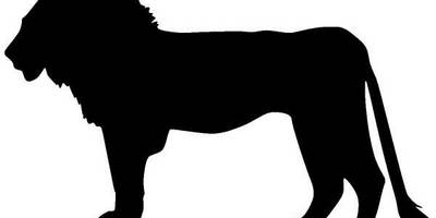 Животные 1245