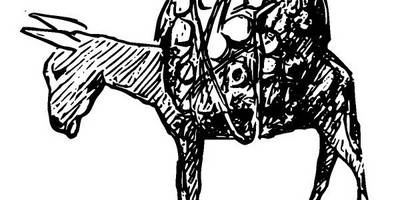 Животные 2686