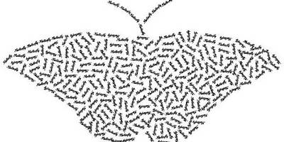 Животные 3367