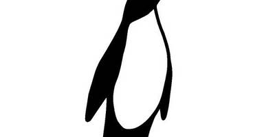 Животные 1212