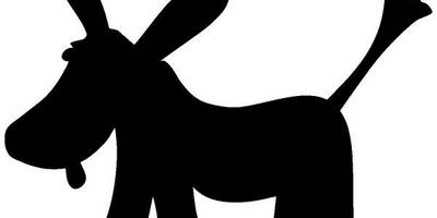 Животные 1896