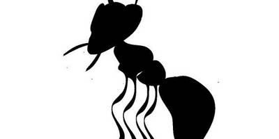 Животные 1807