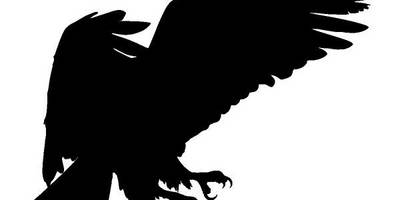 Животные 3481