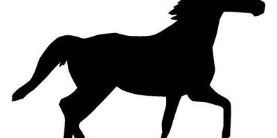 Животные 4331