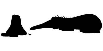 Животные 289