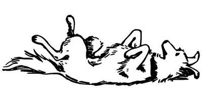 Животные 2833