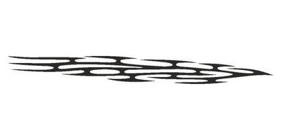 Виниловая наклейка на авто 433