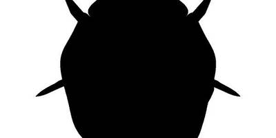 Животные 3062