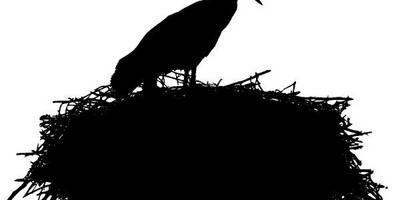 Животные 2186