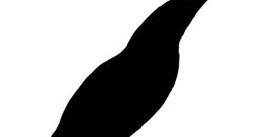 Животные 2780