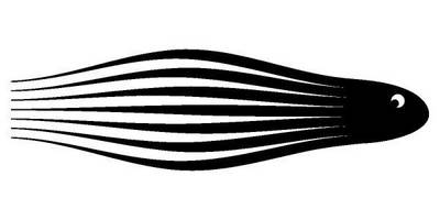 Виниловая наклейка на авто 67