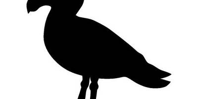 Животные 2996