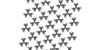 Бесшовный 38