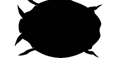 Животные 3056