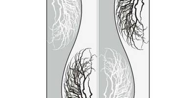 Прямоугольный орнамент 1200
