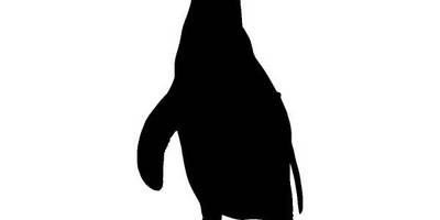 Животные 4170