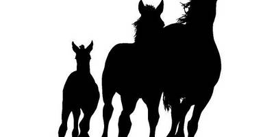 Животные 4083