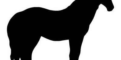 Животные 3754