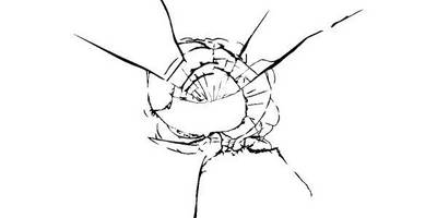 Виниловая наклейка на авто 186