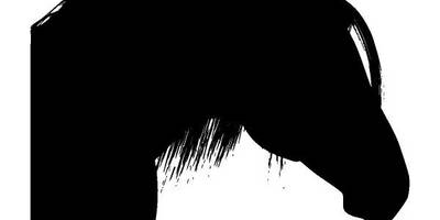 Животные 4099