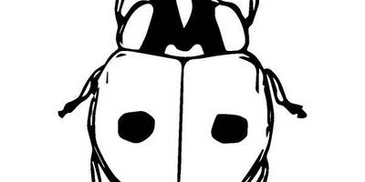 Животные 2450