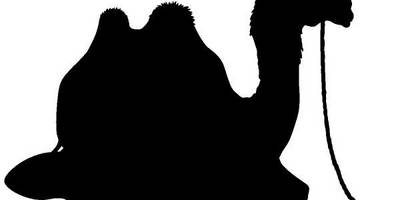 Животные 705