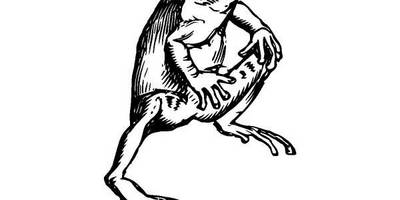 Животные 1046