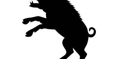 Животные 1744