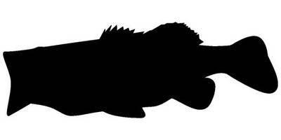 Животные 2959