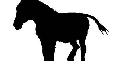 Животные 449