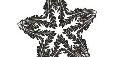 Орнамент цветы 467