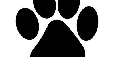 Животные 2203